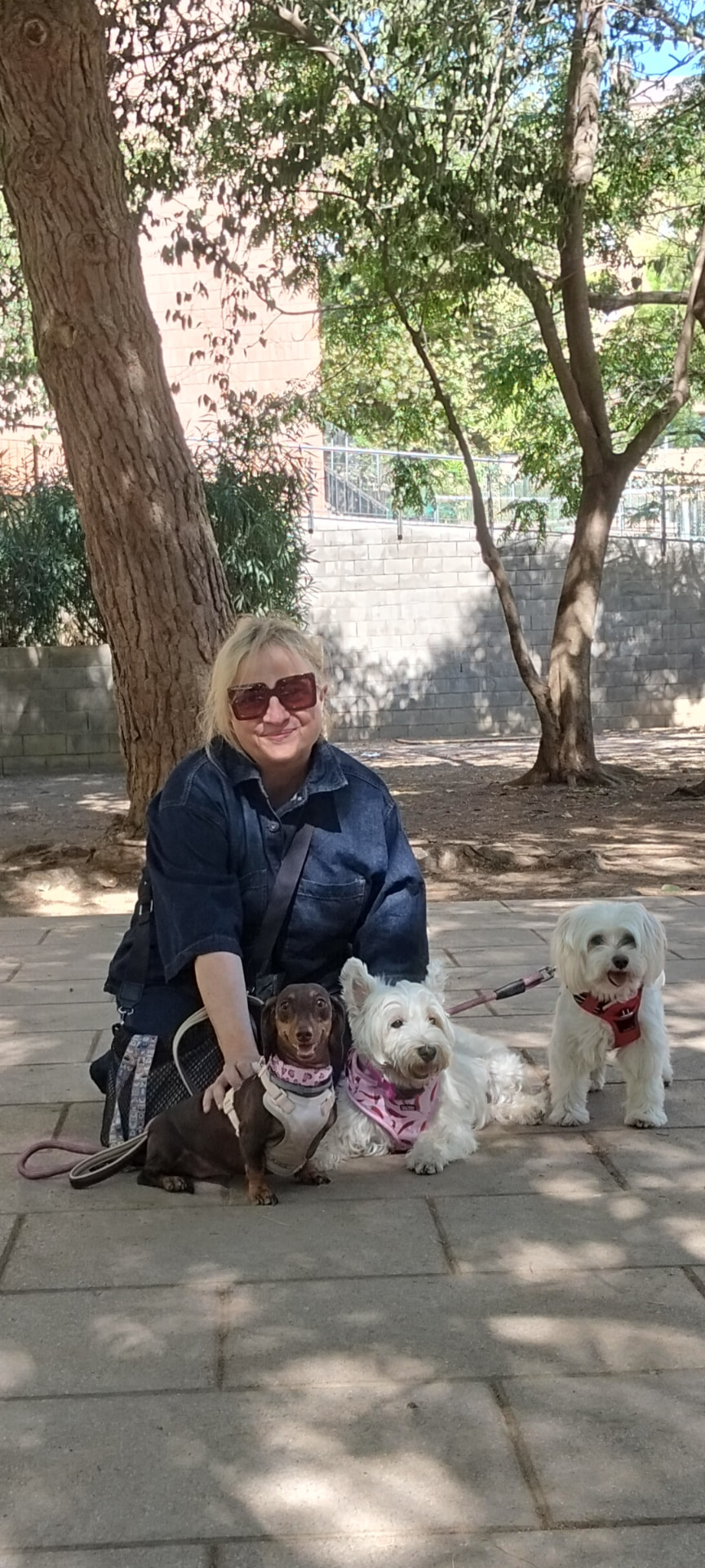 Cuidadora de VidaPerra Barcelona paseando a tres perros en Barcelona